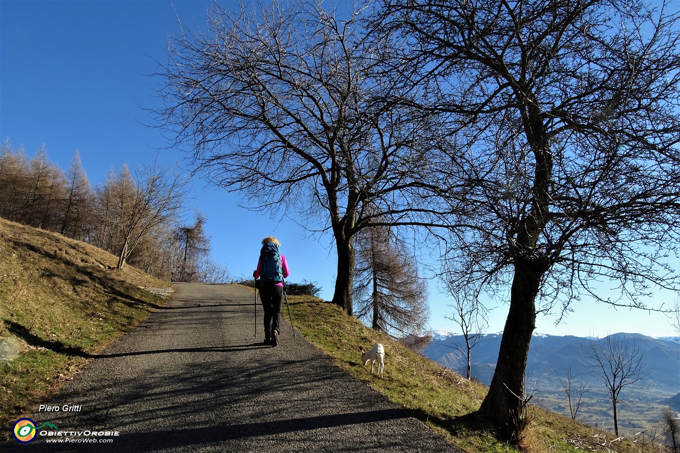 22 Dalla mulattiera alla strada silvo-pastorale Monte Alino .JPG